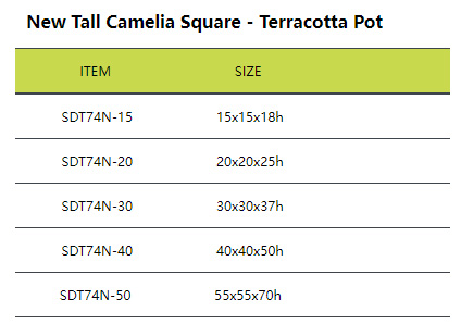 New Tall Camelia Square - Terracotta Pot