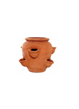 Herbs Pot - Terracotta Pot