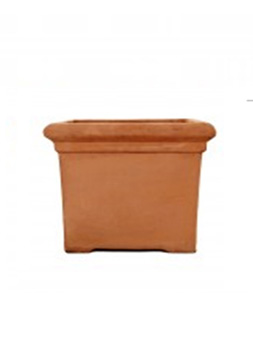 Baytree Square - Terracotta Pot